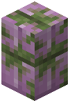 Mossy Purpur Block Wall