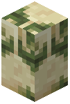 Mossy Sandstone Brick Wall