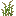 Reeds
