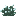 Snow Bush