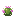 Tiny Cactus