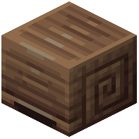 Big Snail Shell