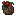 Potted Sweet Berries