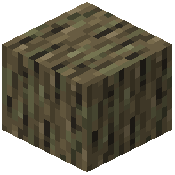 Rotten Wood