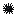 Sea Urchin