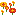 Tropical Wildflowers