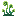 Alphacene Grass