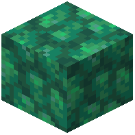 Block of Rough Emerald