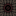 Infested Log