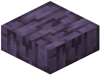 Mystic Tree Log Slab