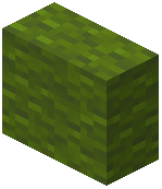 Green Wool Vertical Slab