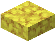 Horn Coral Slab