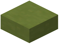 Lime Terracotta Slab