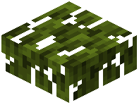 Mangrove Leaves Slab