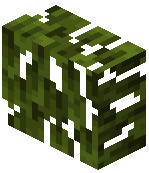 Mangrove Leaves Vertical Slab