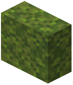 Moss Block Vertical Slab