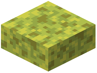 Wet Sponge Slab