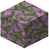 Mossy Cobbled Purpur