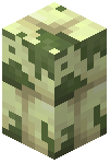 Mossy End Stone Brick Wall