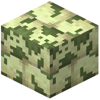 Mossy End Stone Bricks