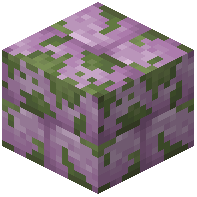 Mossy Purpur Bricks