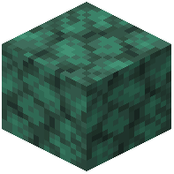 Raw Dark Prismarine