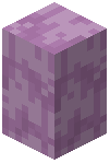 Raw Purpur Wall