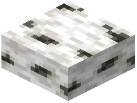 Birch Wood Slab