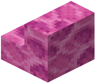 Brain Coral Block Stairs