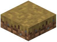 Dirt Path Slab