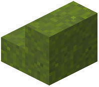 Green Concrete Powder Stairs