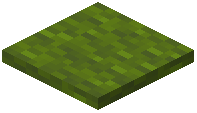 Green Wool Layers Block