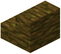 Jungle Wood Stairs
