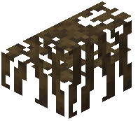 Mangrove Roots Stairs