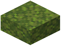 Moss Block Slab