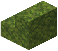 Moss Block Stairs