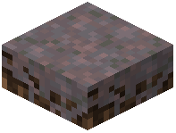 Mycelium Slab