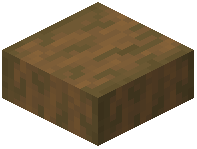 Stripped Spruce Wood Slab