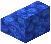 Tube Coral Block Stairs