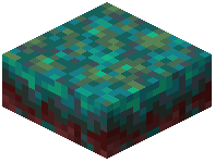 Warped Nylium Slab