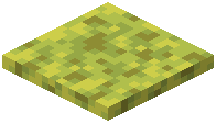 Wet Sponge Layers Block