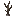 Petrified Sapling