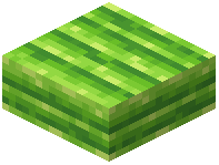 Lime Limestone Slab