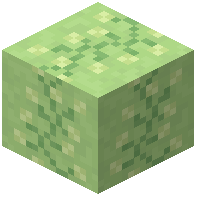 Mint Wallpaper