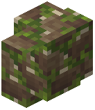 Mossy Brown Mud Brick Wall