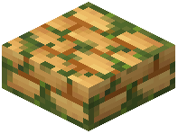 Mossy Orange Sandstone Brick Slab