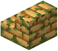 Mossy Orange Sandstone Brick Stairs