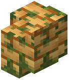 Mossy Orange Sandstone Brick Wall