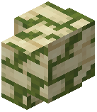 Mossy Sandstone Brick Wall
