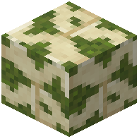 Mossy Sandstone Large Bricks